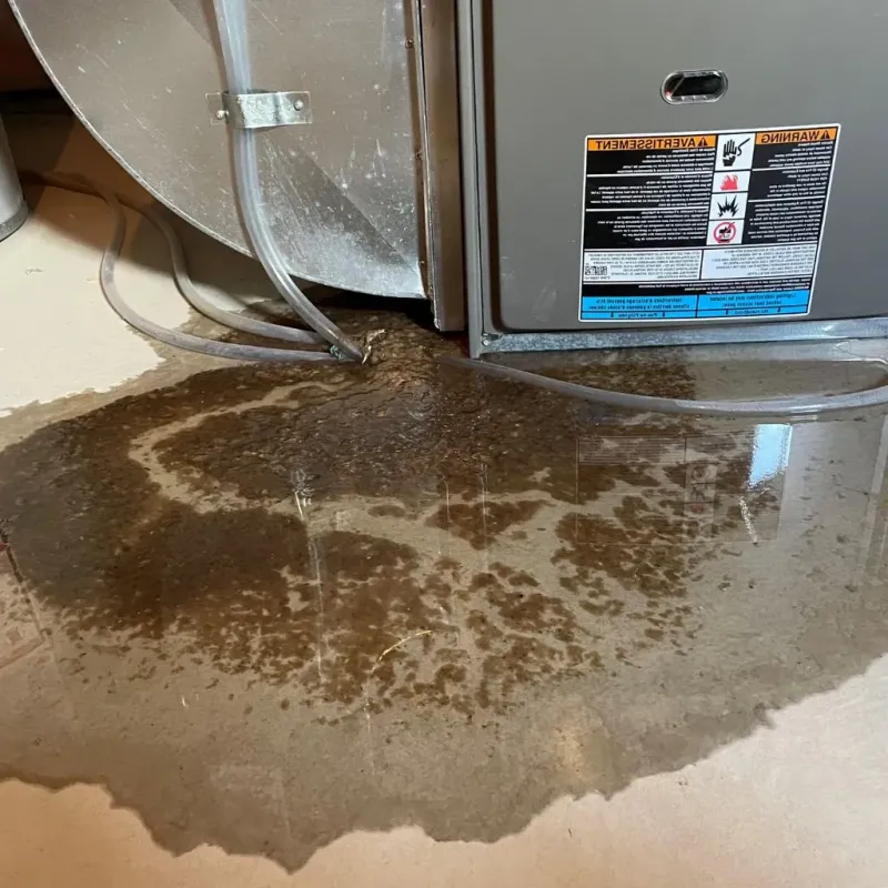 Pipe Burst and Leak Restoration in Battle Creek, NE